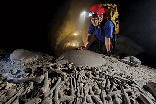 Les explorateurs s’opposent aux dangers pour honorer le trésor naturel de la grotte de Quang Binh