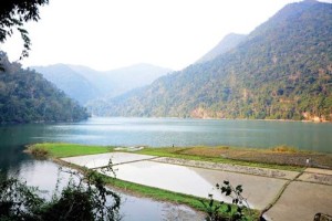 Les villageois profitent la période à sec du lac pour cultiver les rizières