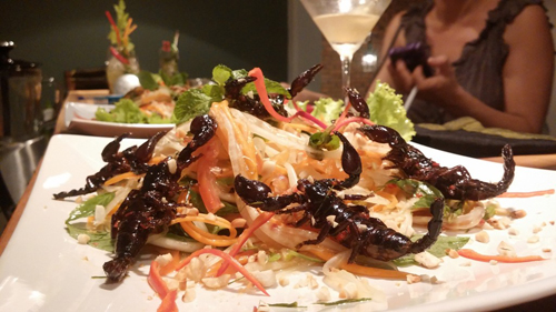 Gouter la salade du scorpion à Bugs Cafe 