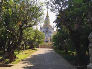 La voie d’entrée pagode Buu Long
