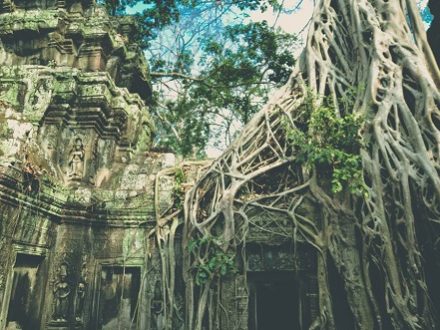 Ta Prohm dans les mystérieux temples d'Angkor