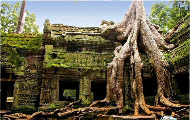 guide de voyage cambodge - taphron