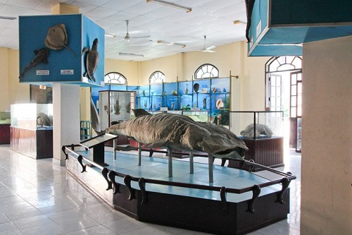 Institut océanographique Nha Trang