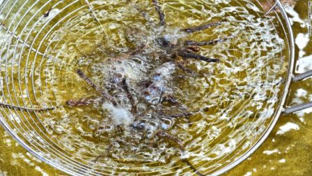 araignees-cueillies-dans-une-casserole-d'huile-chaude - Spécialité connue aux touristes au Cambodge