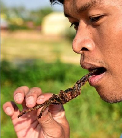un-guide-Cambodgien-Yin-essaie-manger-une-araignee - Spécialité connue aux touristes au Cambodge